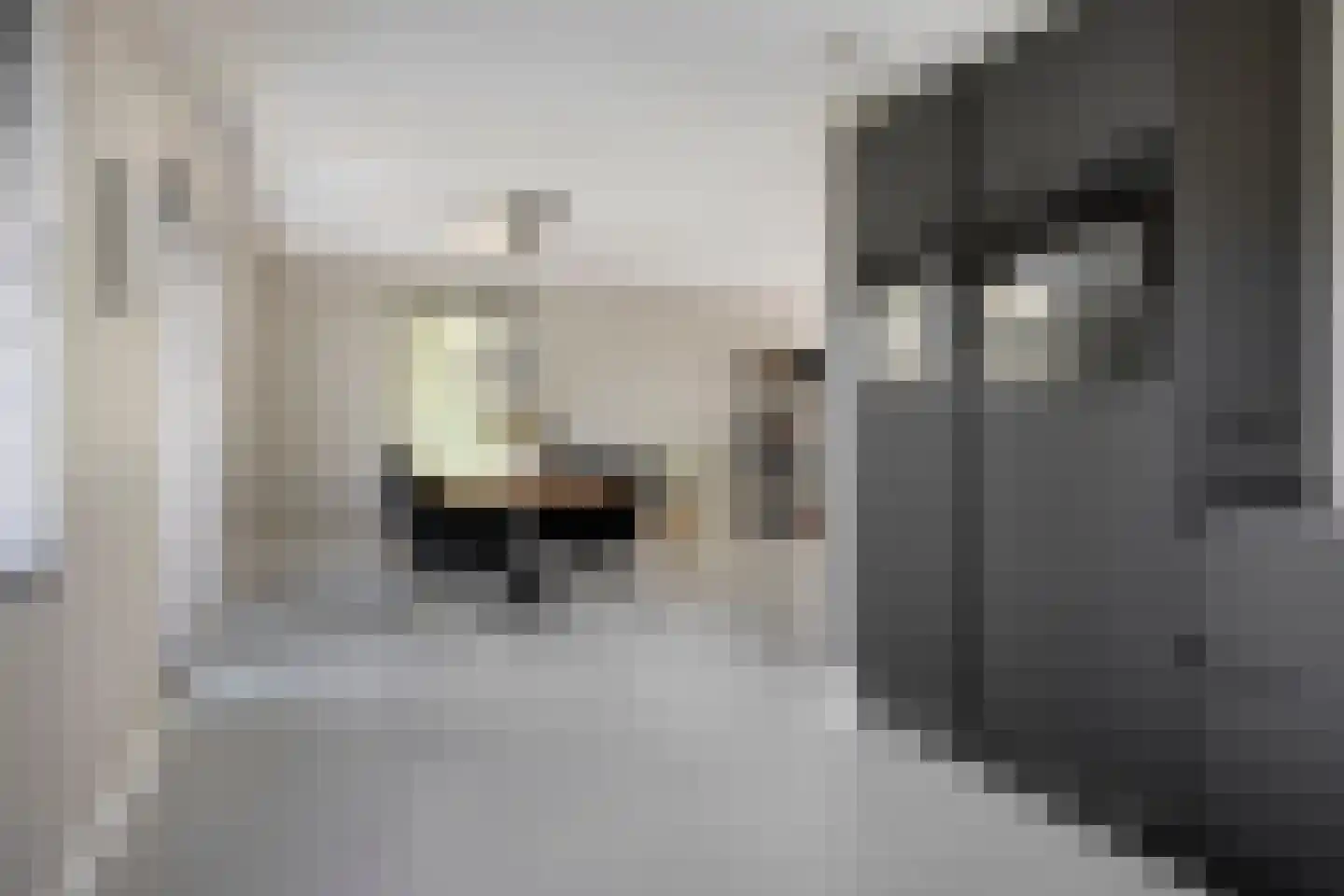 Colijnspolder 5 Bergen op Zoom thumbnail 14