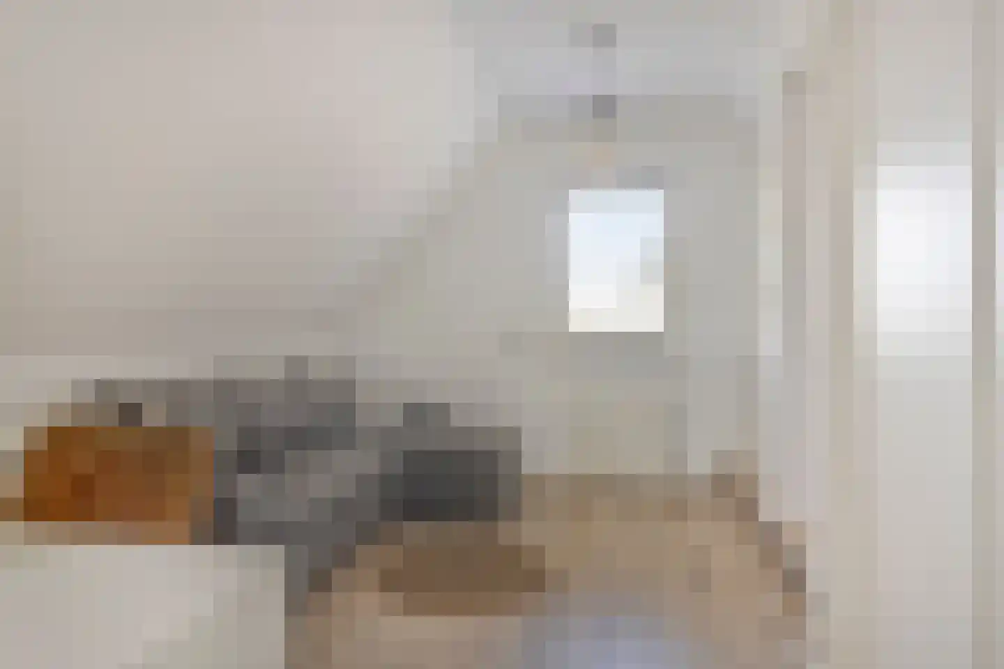 Colijnspolder 5 Bergen op Zoom thumbnail 30