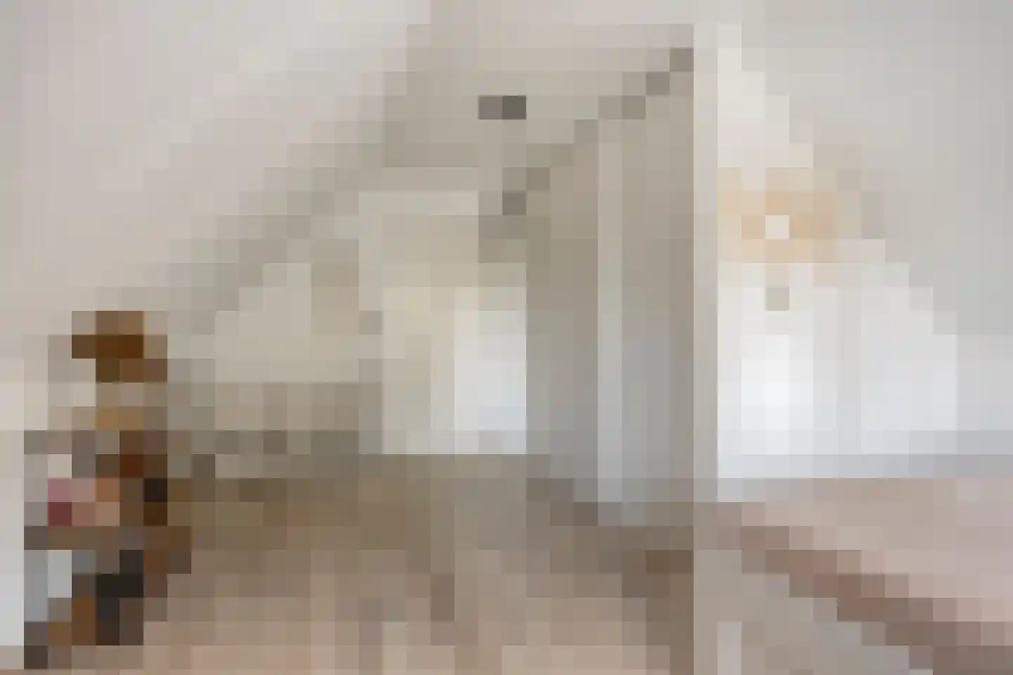 Colijnspolder 5 Bergen op Zoom thumbnail 31