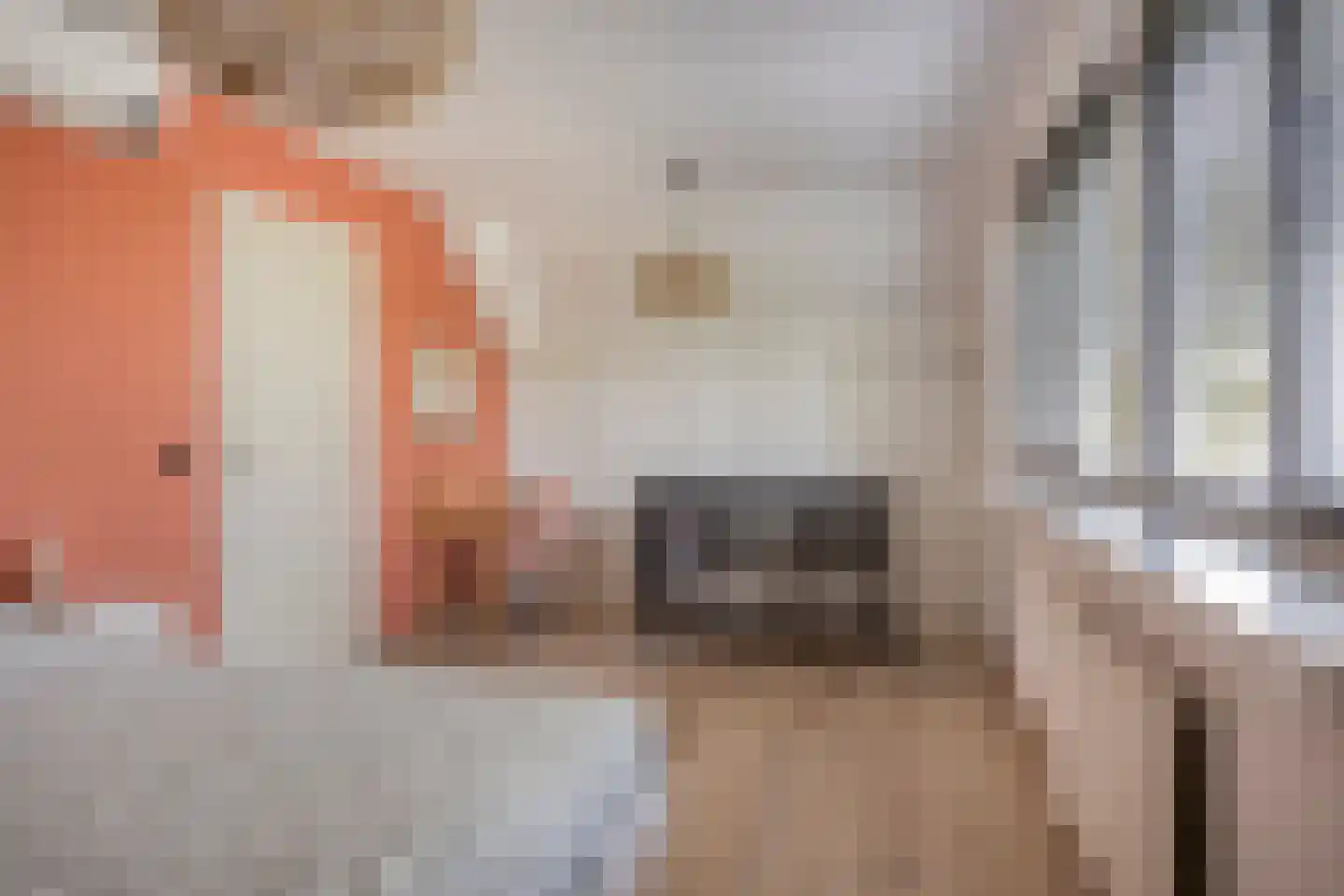 Colijnspolder 5 Bergen op Zoom thumbnail 33