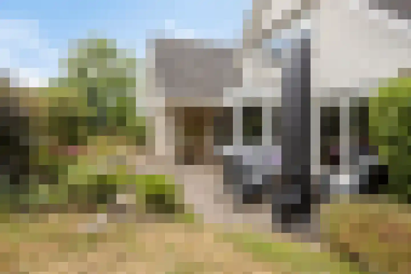 Colijnspolder 5 Bergen op Zoom thumbnail 35