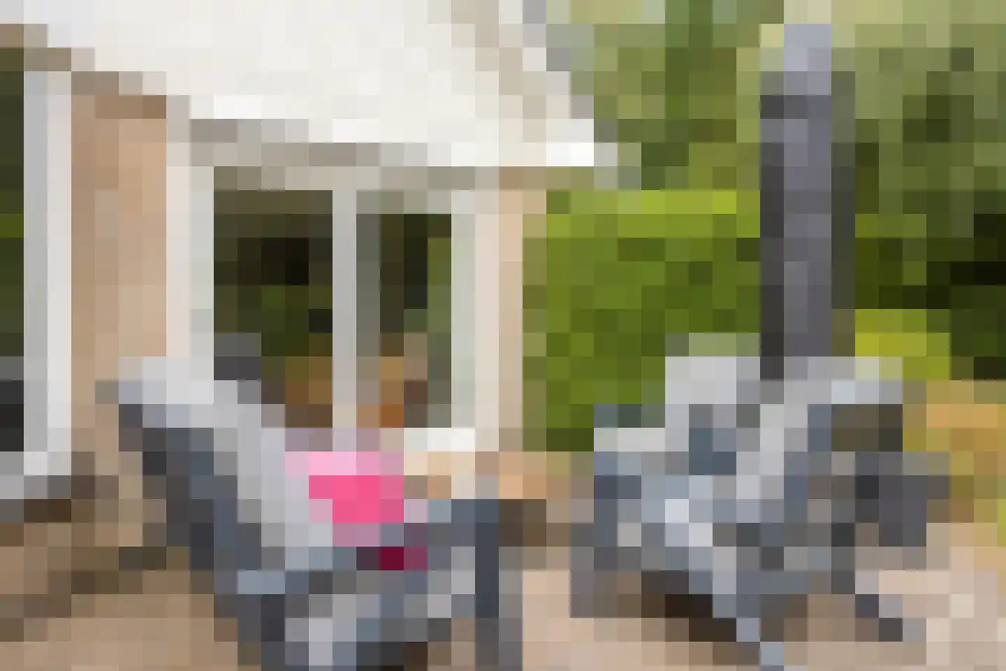 Colijnspolder 5 Bergen op Zoom thumbnail 36