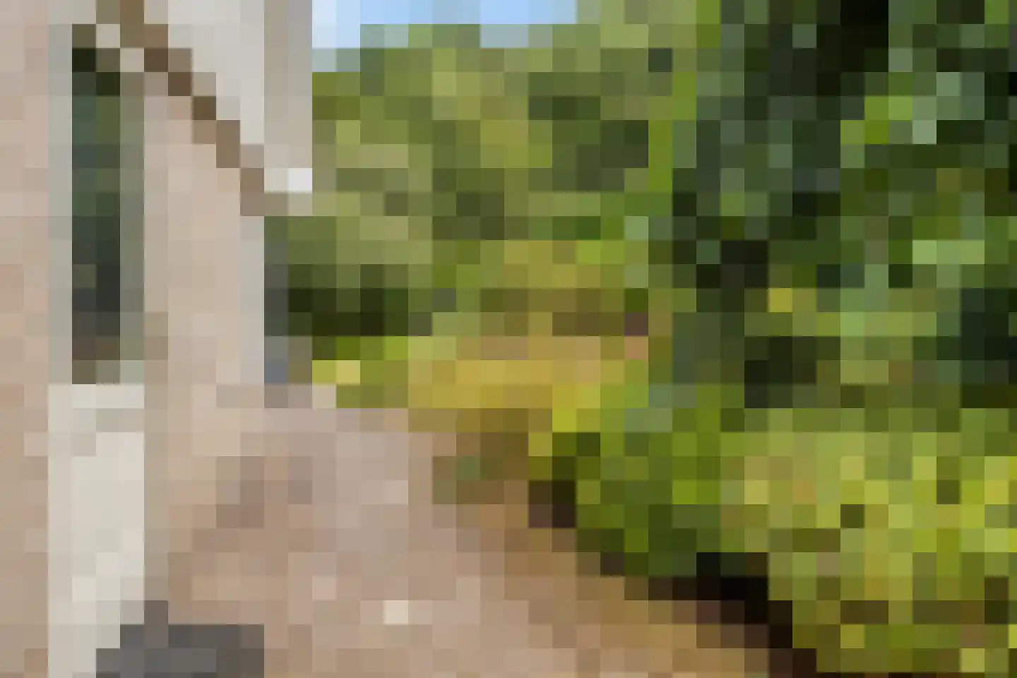 Colijnspolder 5 Bergen op Zoom thumbnail 37