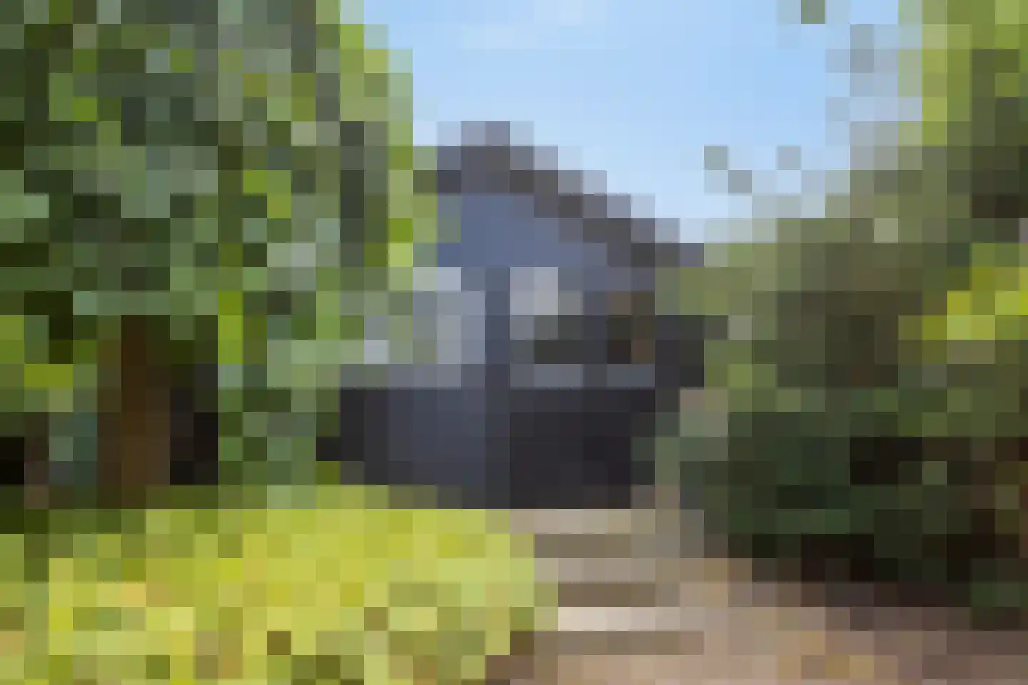 Colijnspolder 5 Bergen op Zoom thumbnail 38