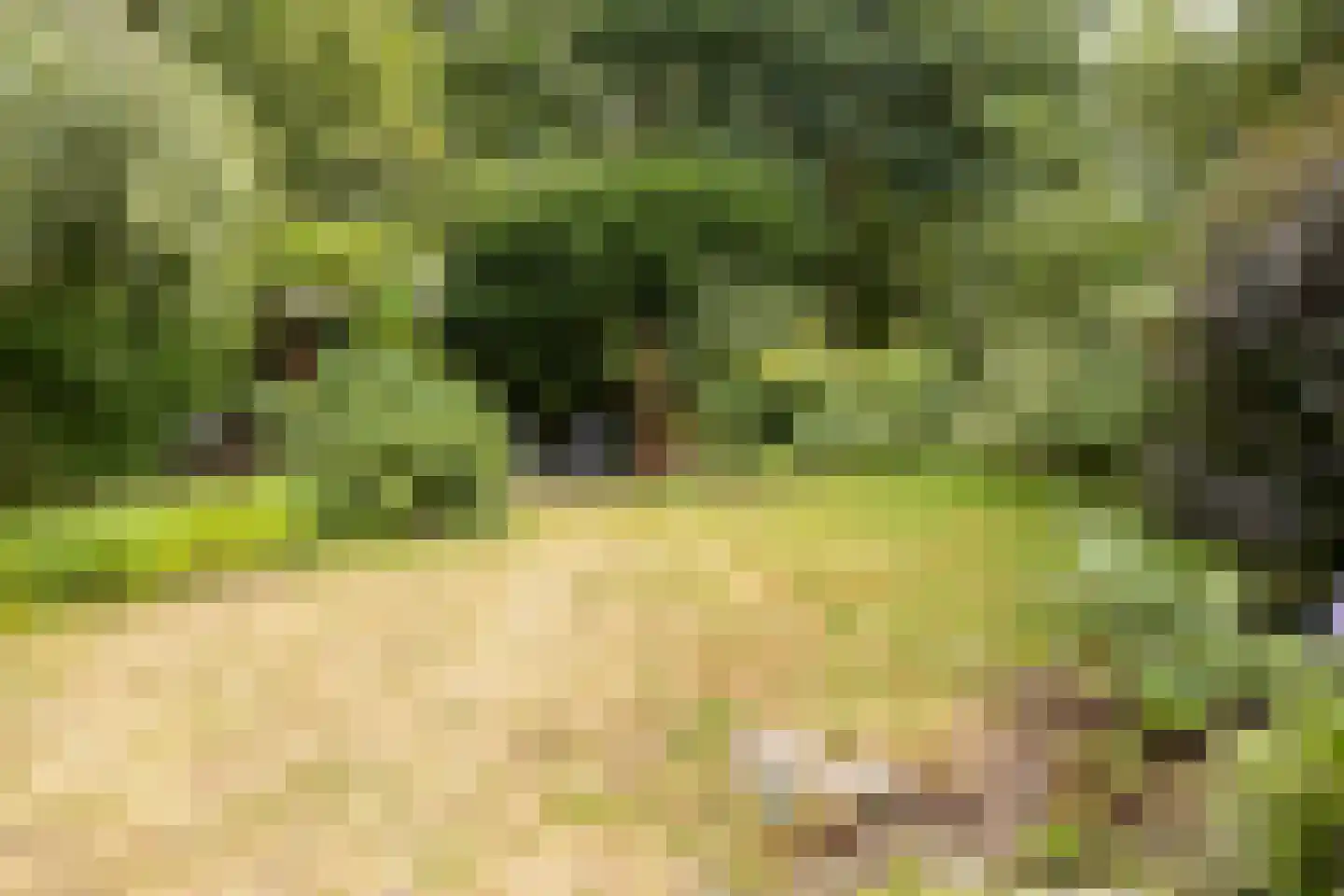 Colijnspolder 5 Bergen op Zoom thumbnail 39