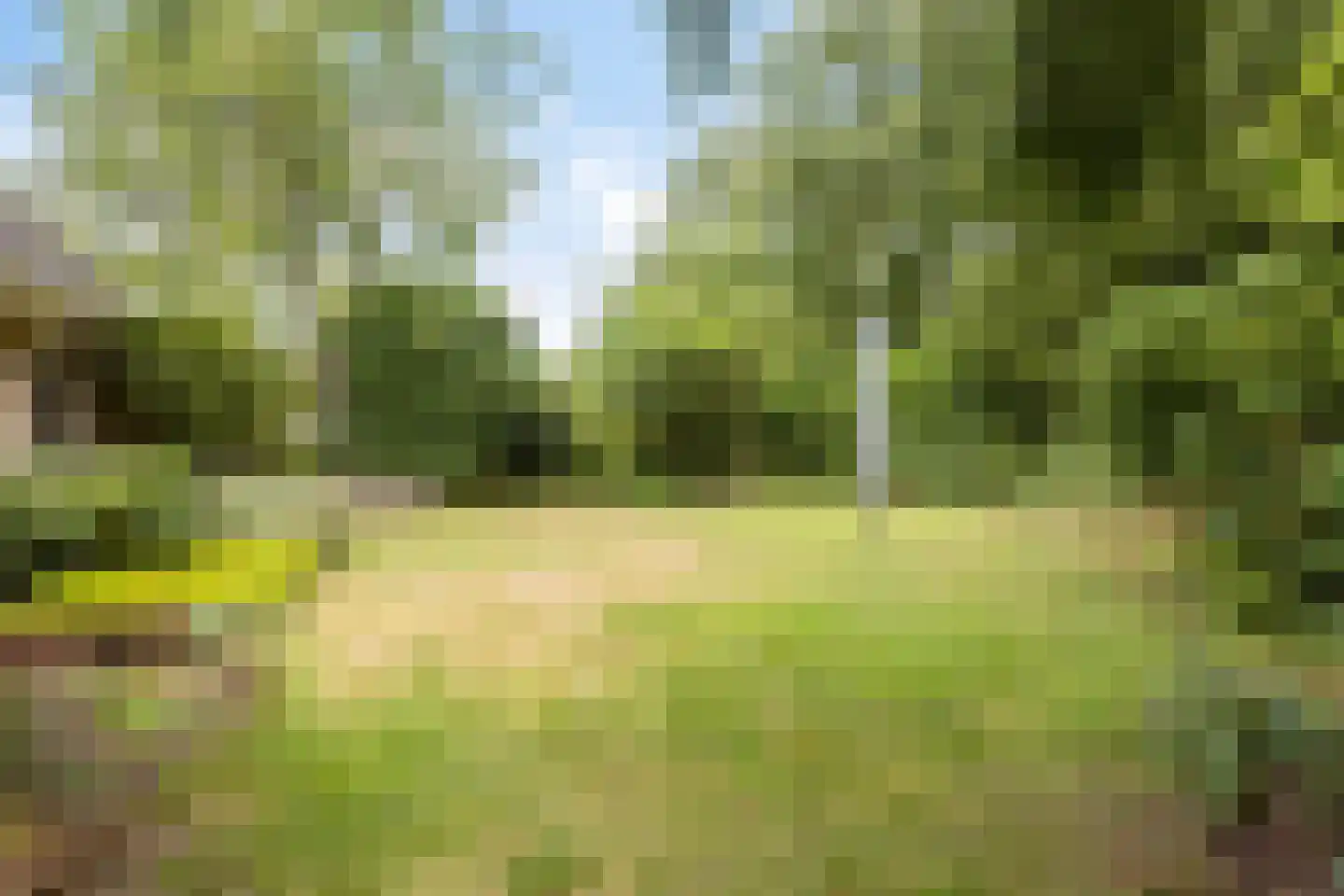 Colijnspolder 5 Bergen op Zoom thumbnail 44