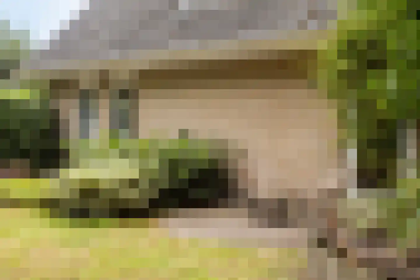 Colijnspolder 5 Bergen op Zoom thumbnail 45