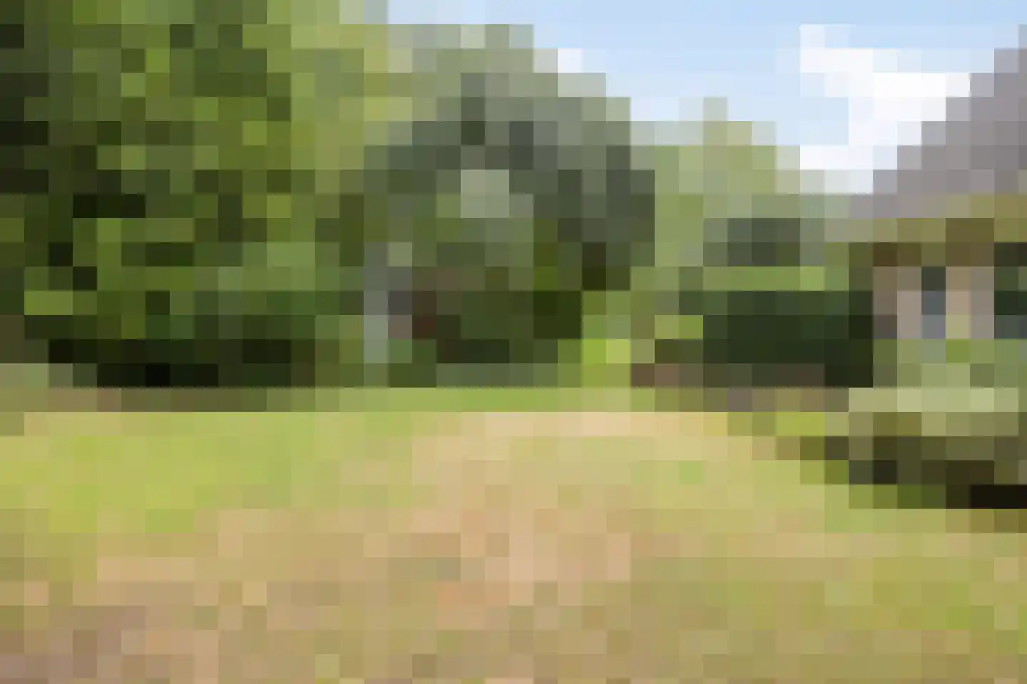 Colijnspolder 5 Bergen op Zoom thumbnail 46