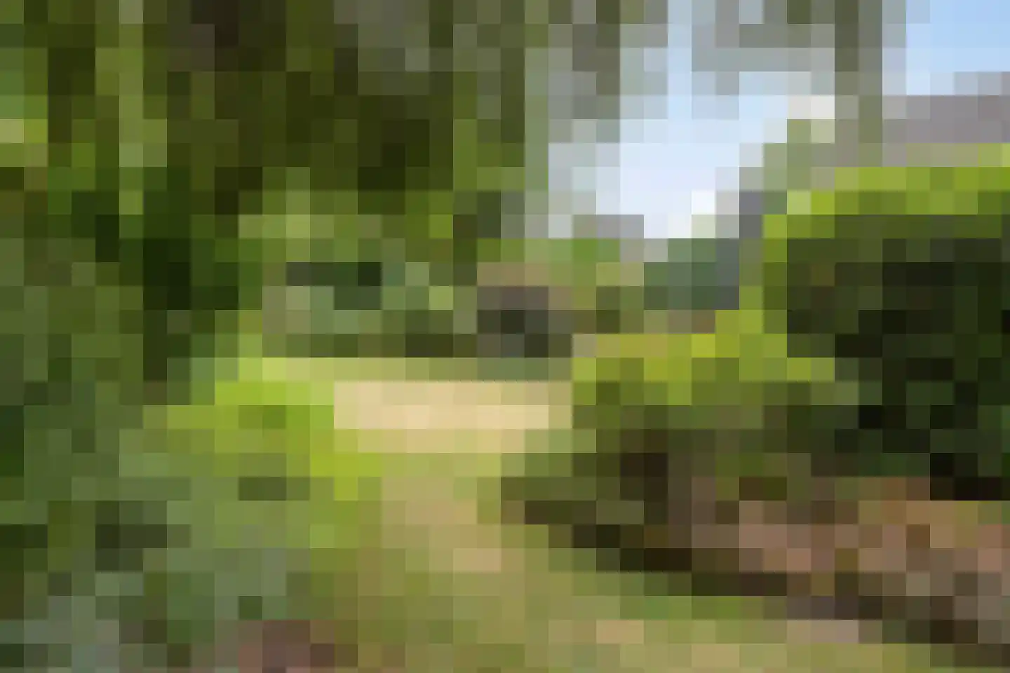 Colijnspolder 5 Bergen op Zoom thumbnail 47