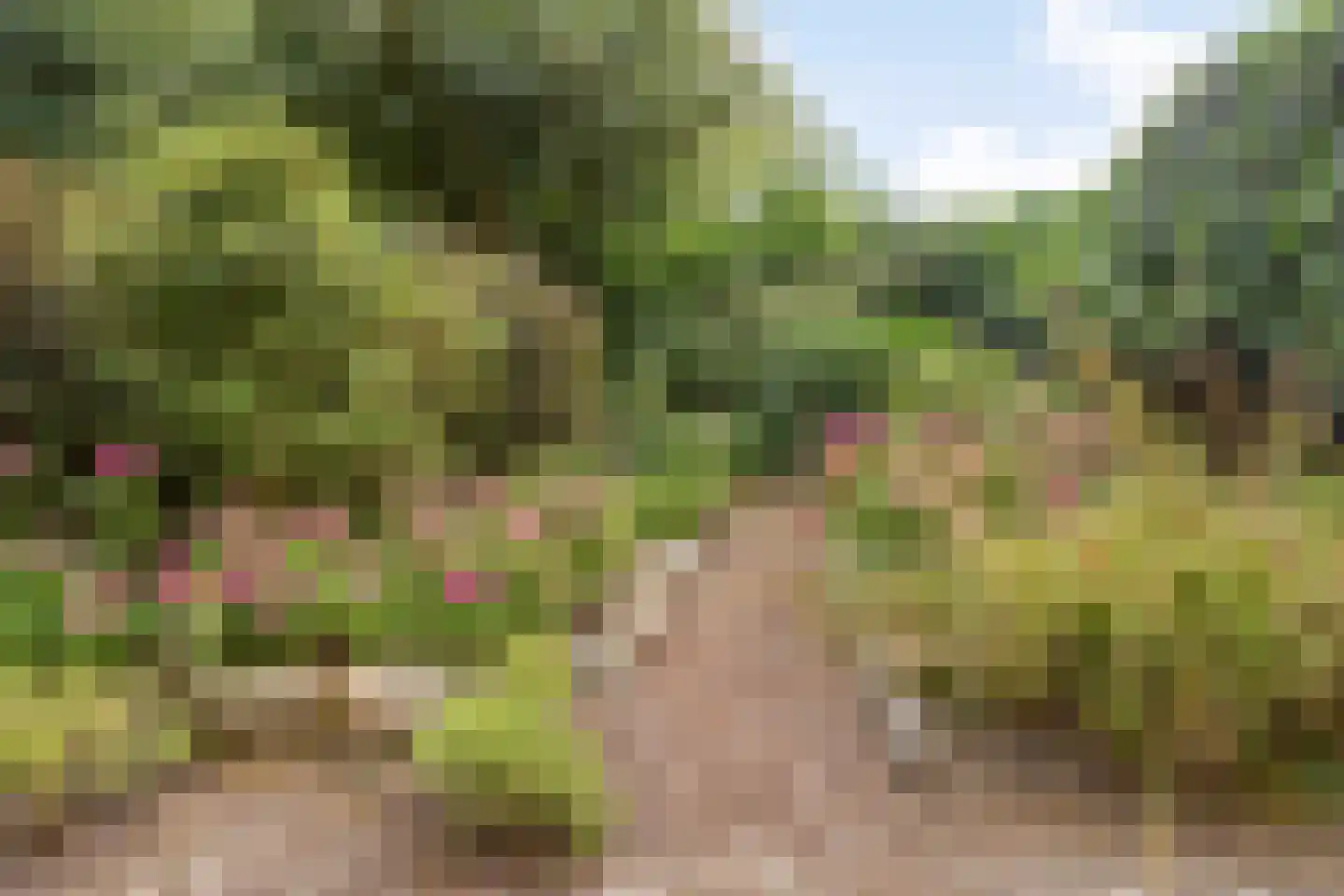 Colijnspolder 5 Bergen op Zoom thumbnail 49