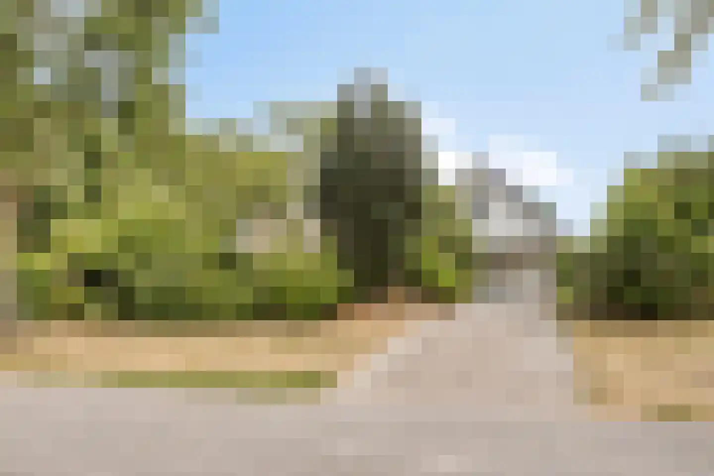 Colijnspolder 5 Bergen op Zoom thumbnail 50