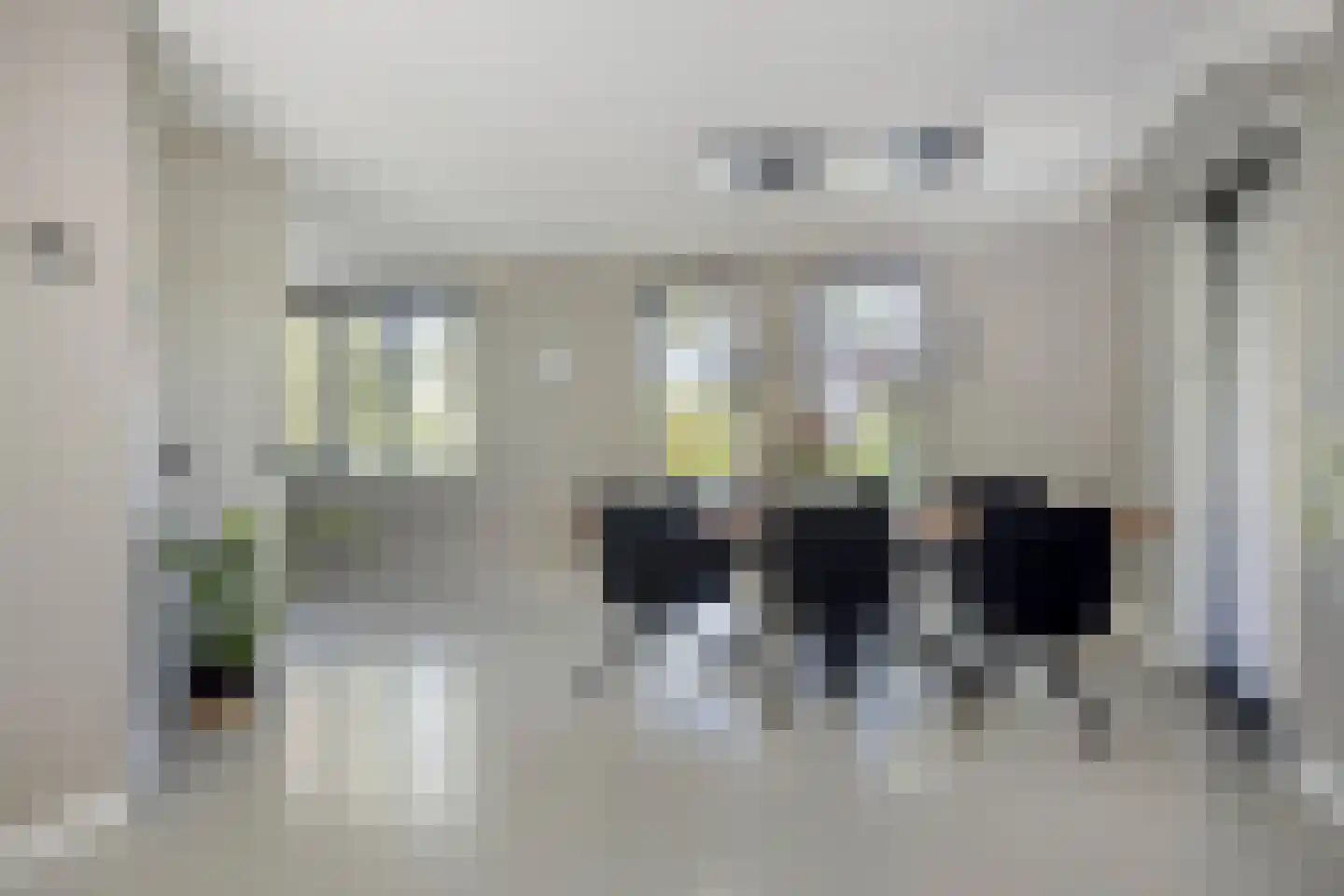 Colijnspolder 5 Bergen op Zoom thumbnail 7
