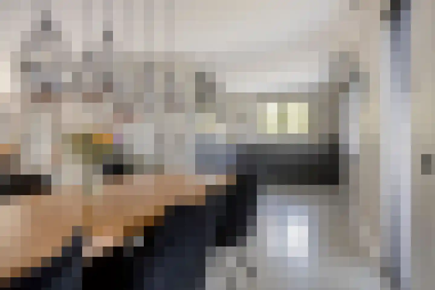 Colijnspolder 5 Bergen op Zoom thumbnail 8