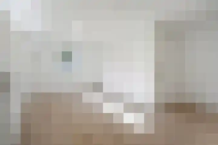 Colijnstraat 1 Breda thumbnail 6