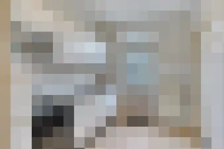 Colijnstraat 1 Oss thumbnail 10