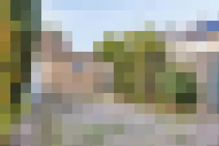 Colijnstraat 1 Oss thumbnail 22