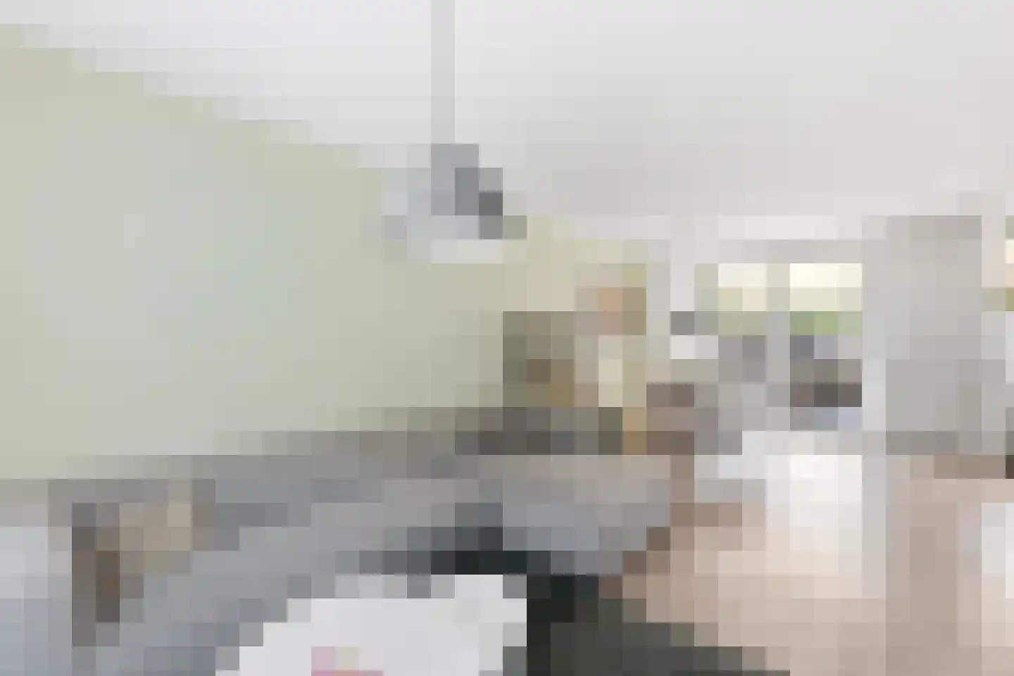 Colijnstraat 115 Vlissingen thumbnail 8
