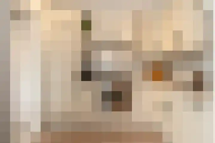 Colijnstraat 12 Epe thumbnail 10