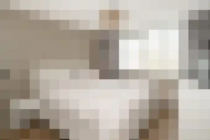 Colijnstraat 12 Epe thumbnail 15