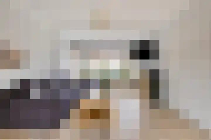Colijnstraat 12 Tilburg thumbnail 4