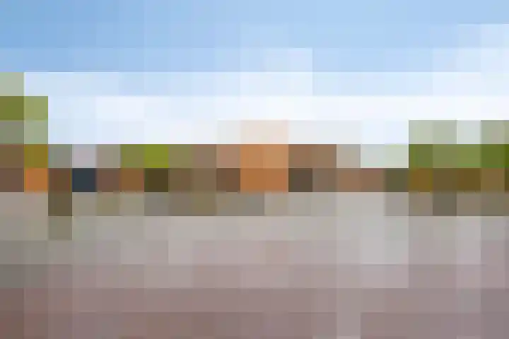 Colijnstraat 13 Oss thumbnail 27