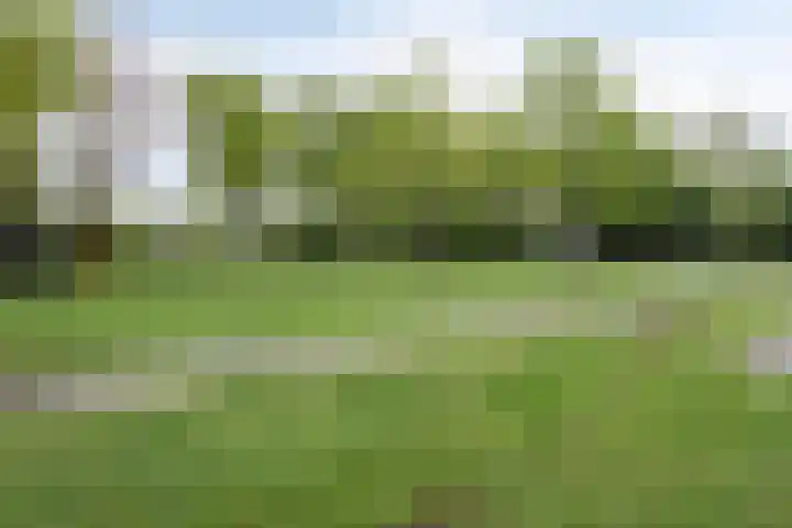 Colijnstraat 13 Oss thumbnail 28