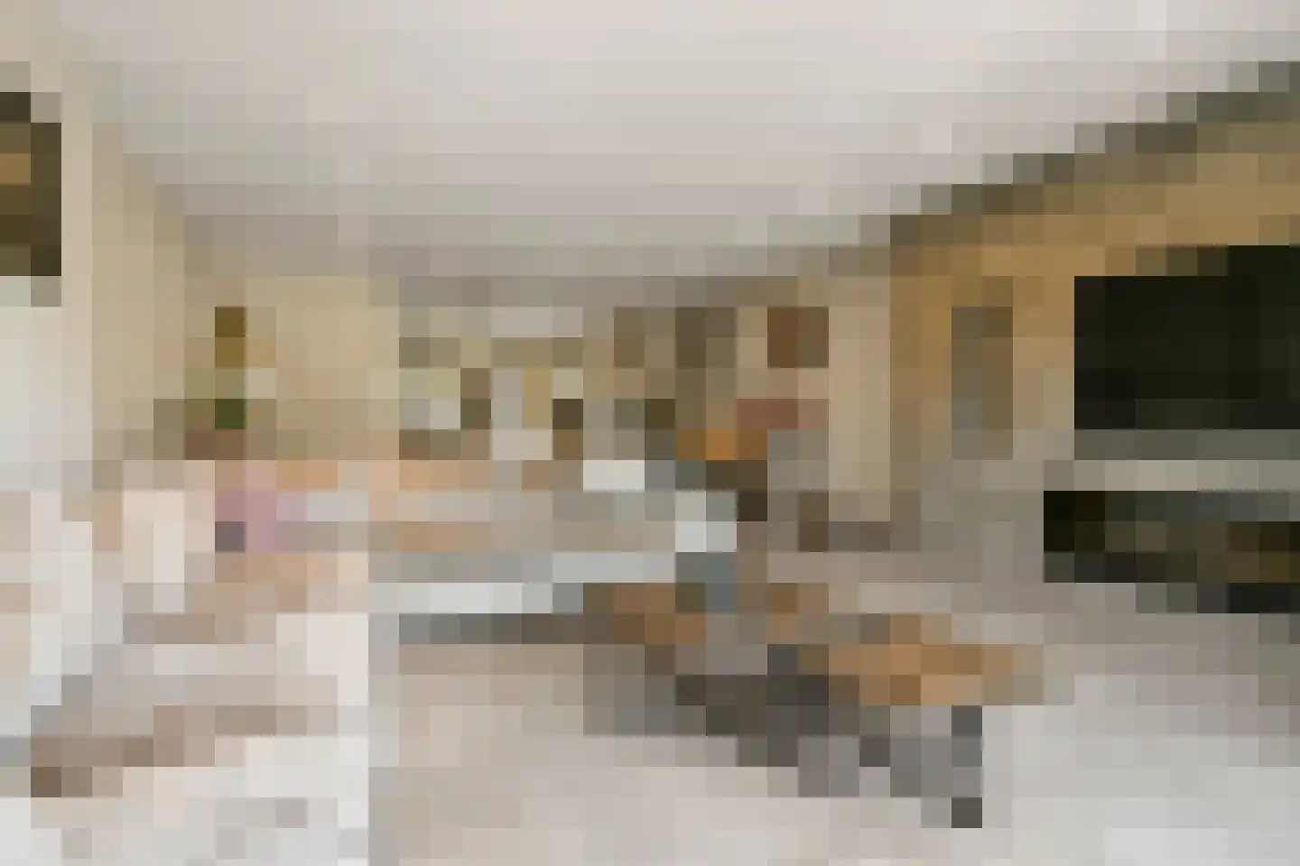 Colijnstraat 18 Hoofddorp thumbnail 11