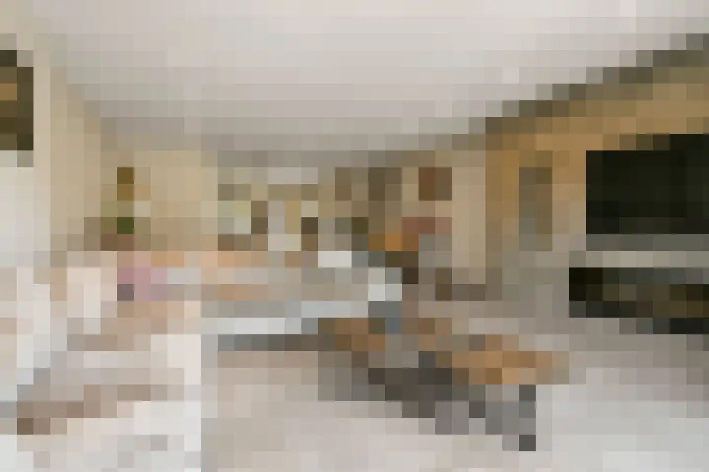 Colijnstraat 18 Hoofddorp thumbnail 8