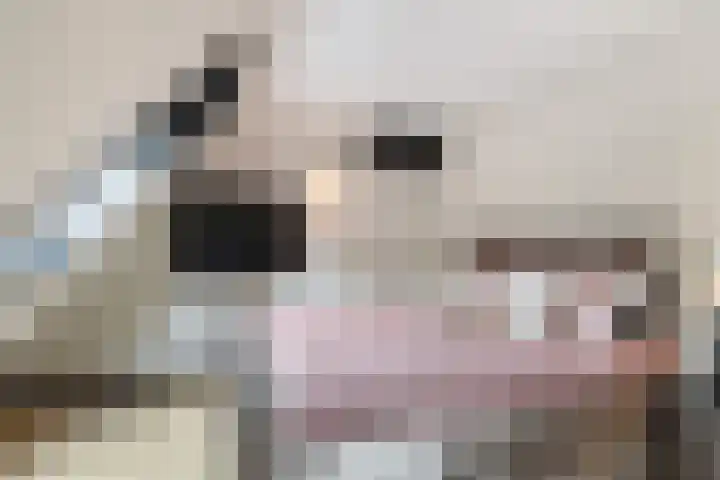 Colijnstraat 2 Naaldwijk thumbnail 16