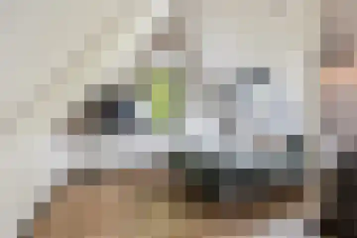 Colijnstraat 2 Naaldwijk thumbnail 25