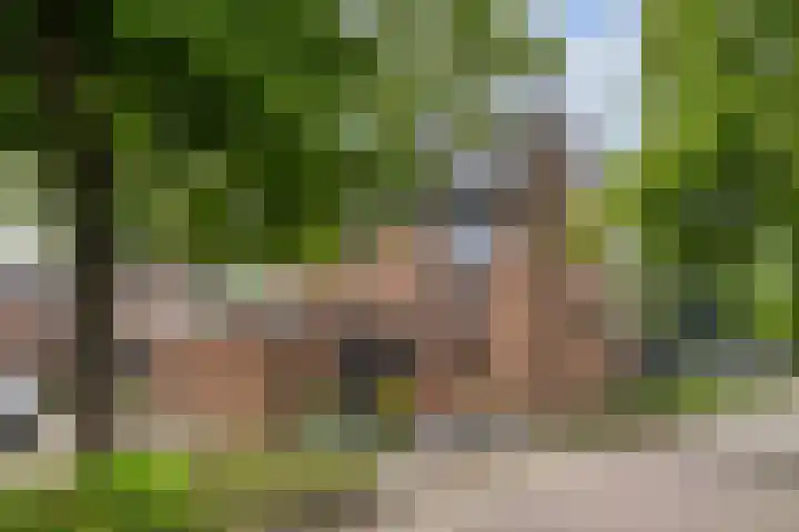 Colijnstraat 2 Naaldwijk thumbnail 35