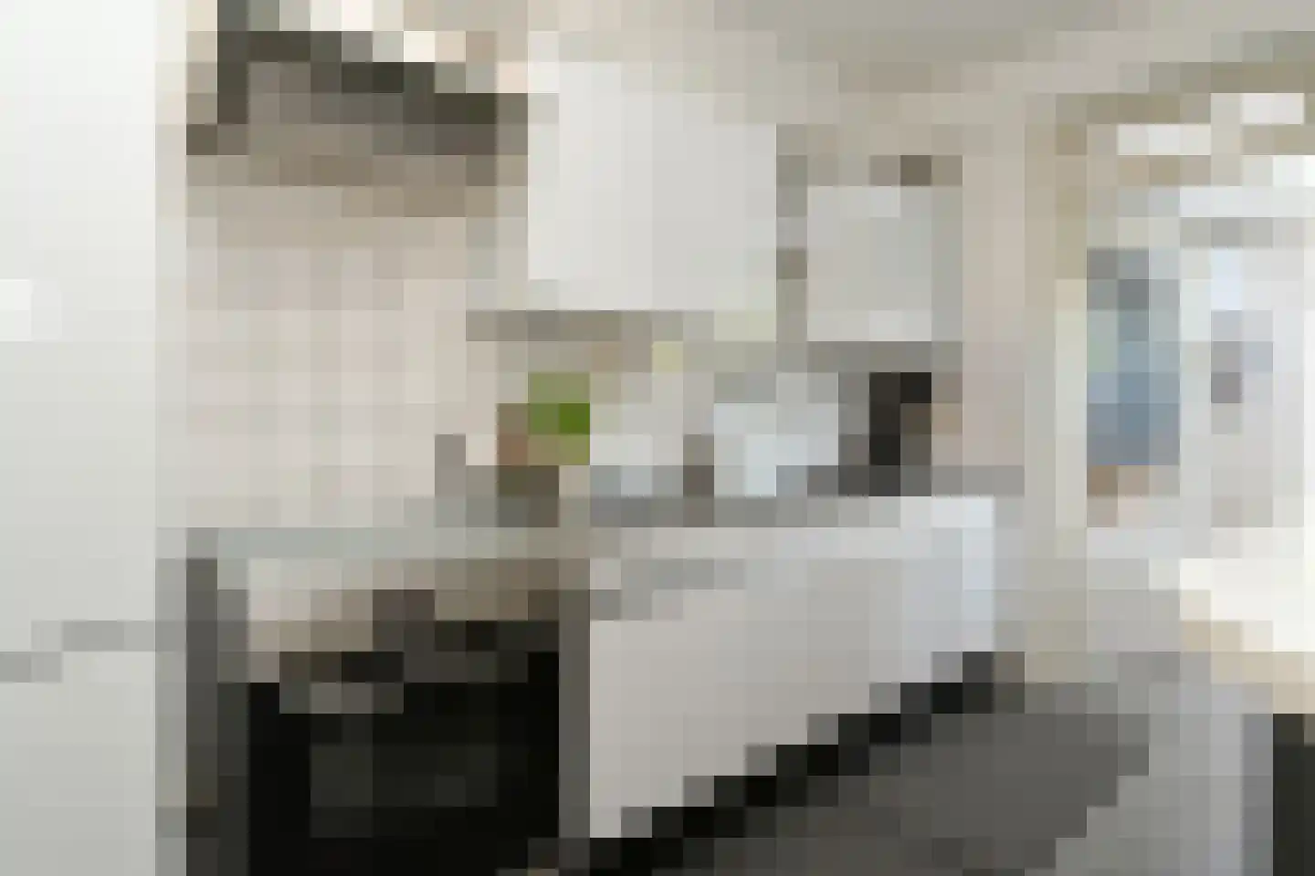 Colijnstraat 21 Son en Breugel thumbnail 13