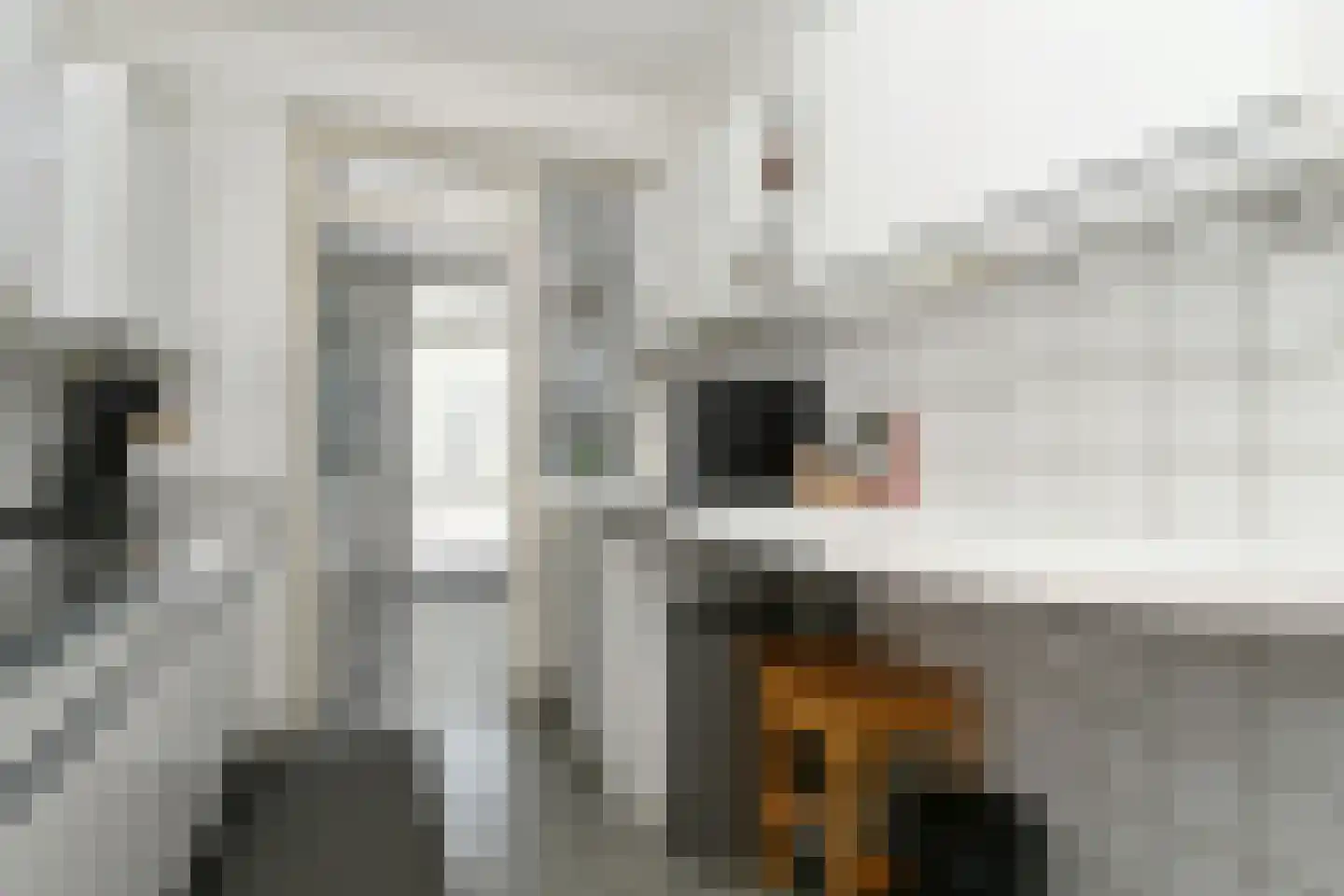 Colijnstraat 21 Son en Breugel thumbnail 14