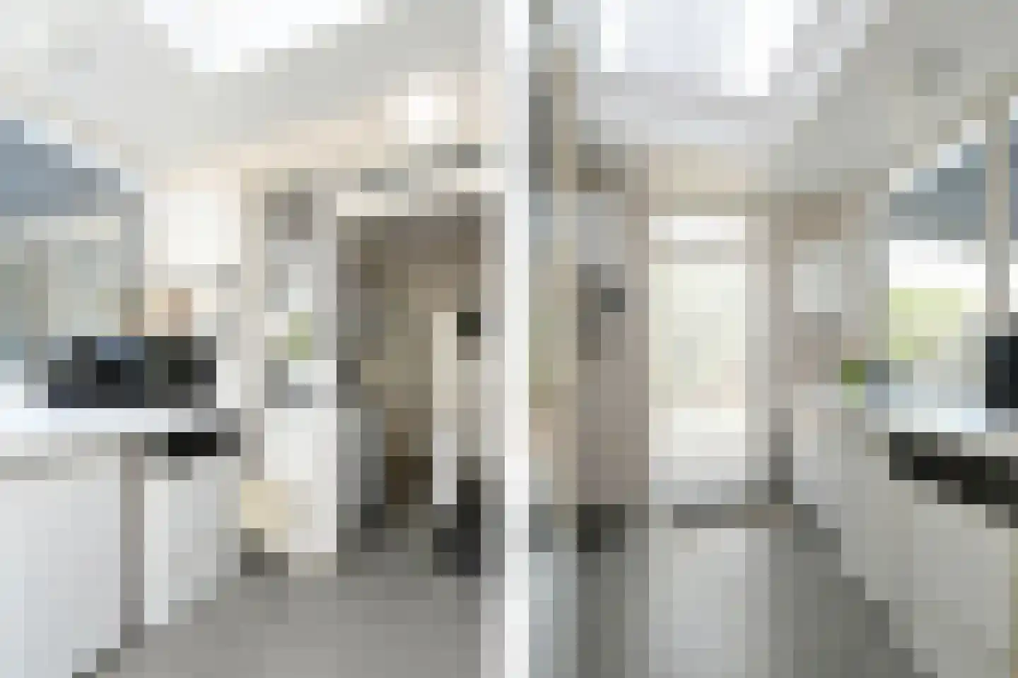 Colijnstraat 21 Son en Breugel thumbnail 15