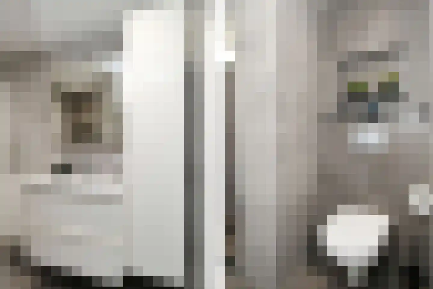 Colijnstraat 21 Son en Breugel thumbnail 23