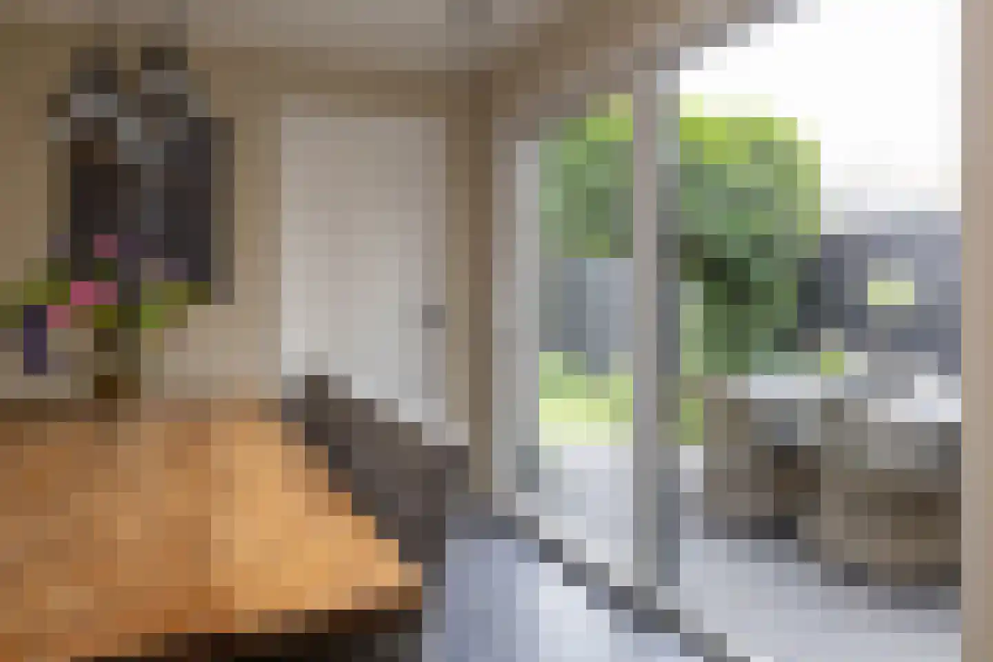 Colijnstraat 27 Nunspeet thumbnail 20