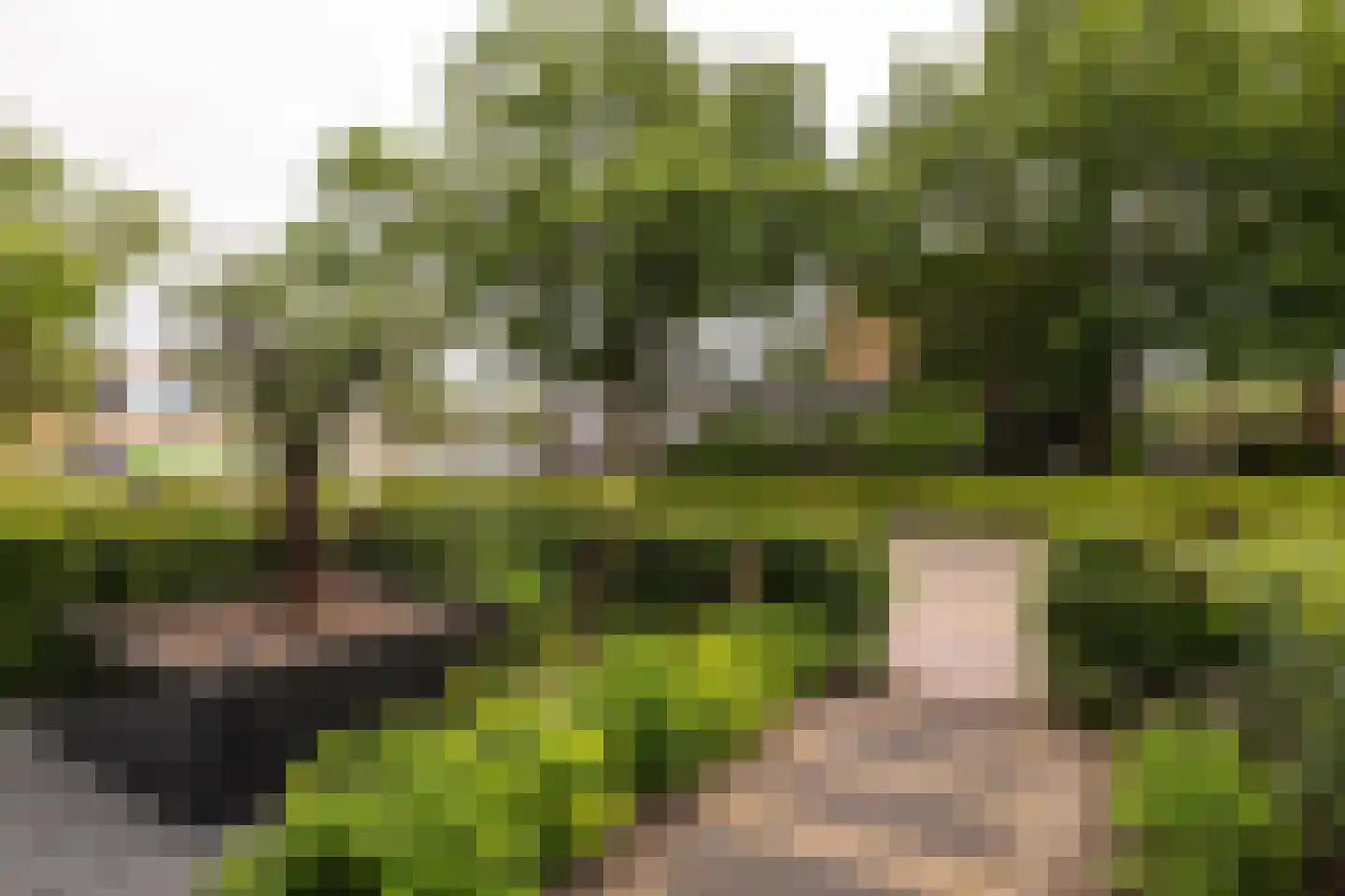 Colijnstraat 27 Nunspeet thumbnail 4