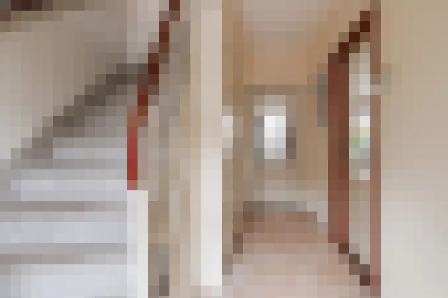 Colijnstraat 3 Culemborg thumbnail 8