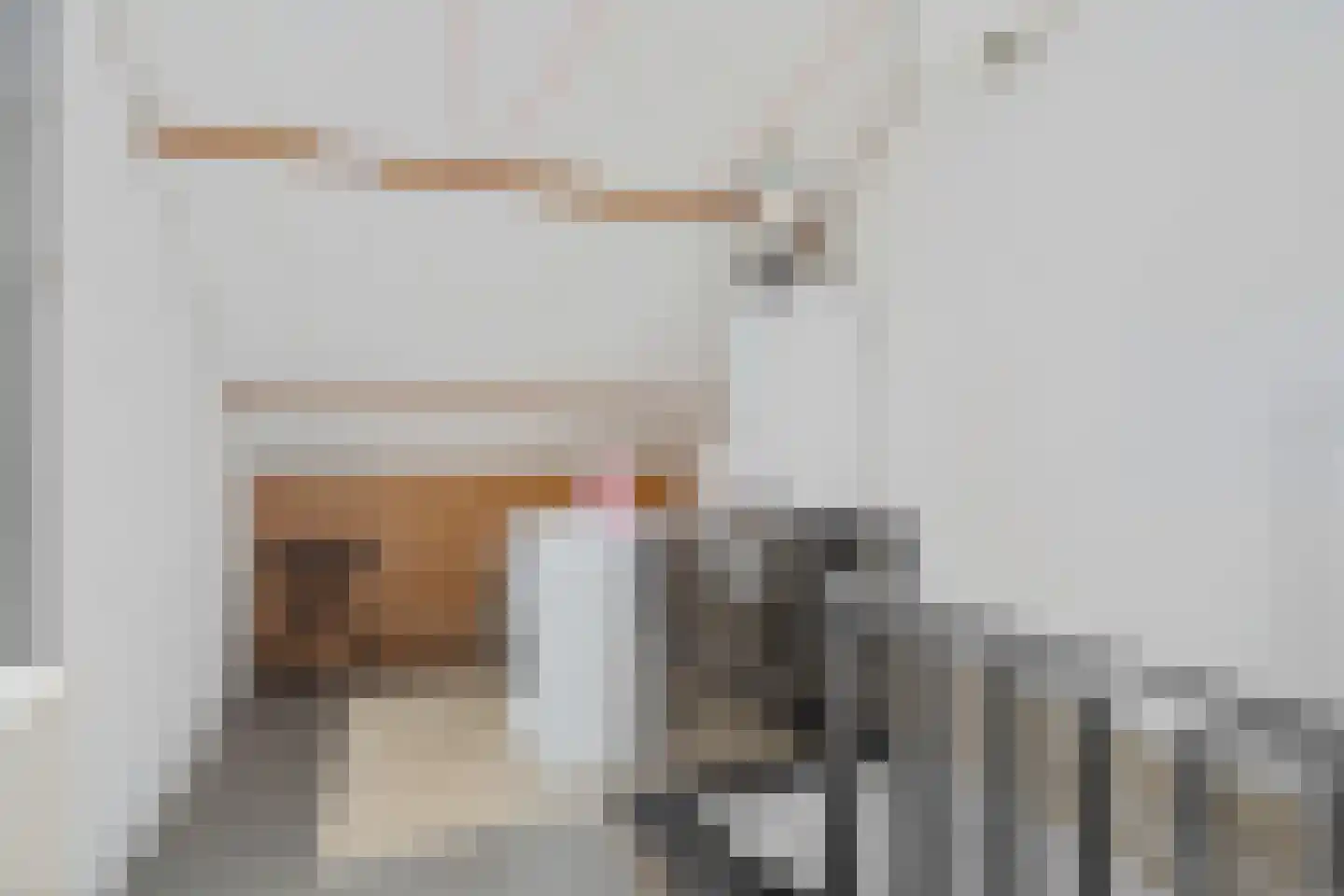 Colijnstraat 3 Oss thumbnail 22
