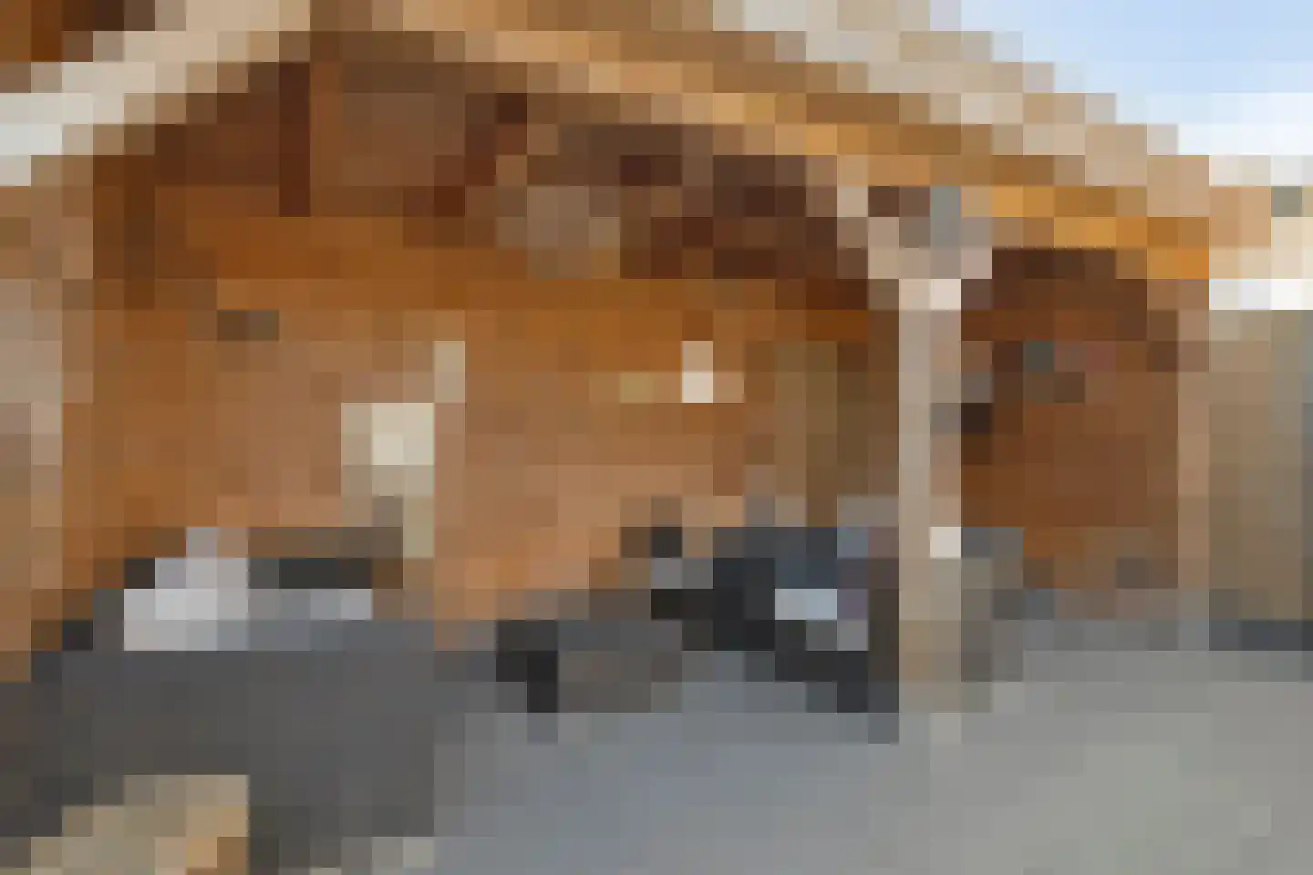 Colijnstraat 33 Bunschoten-Spakenburg thumbnail 48