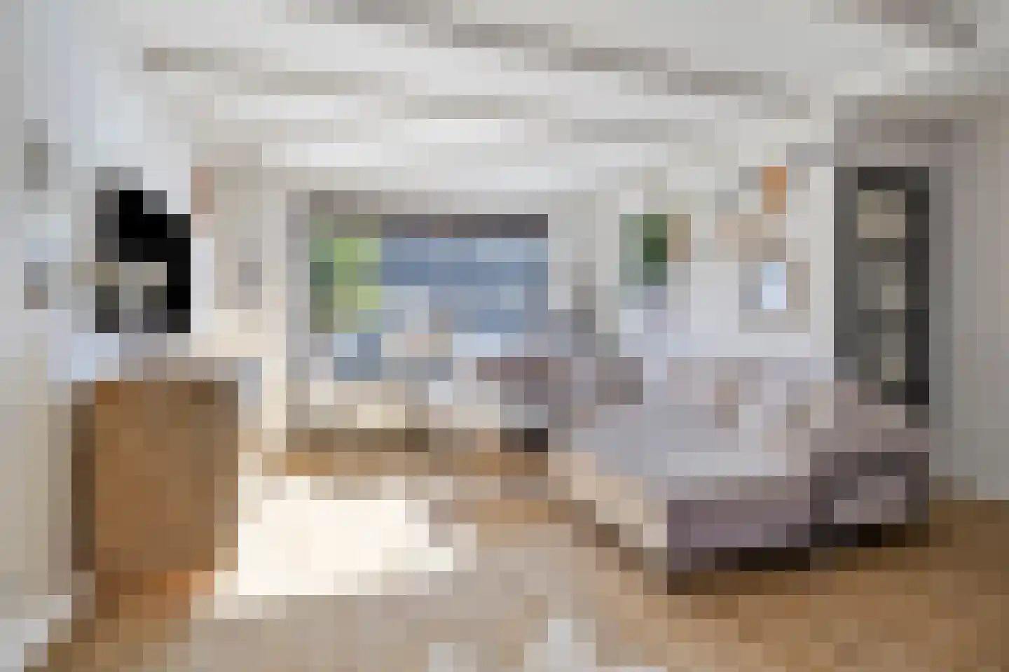 Colijnstraat 33 Bunschoten-Spakenburg thumbnail 7