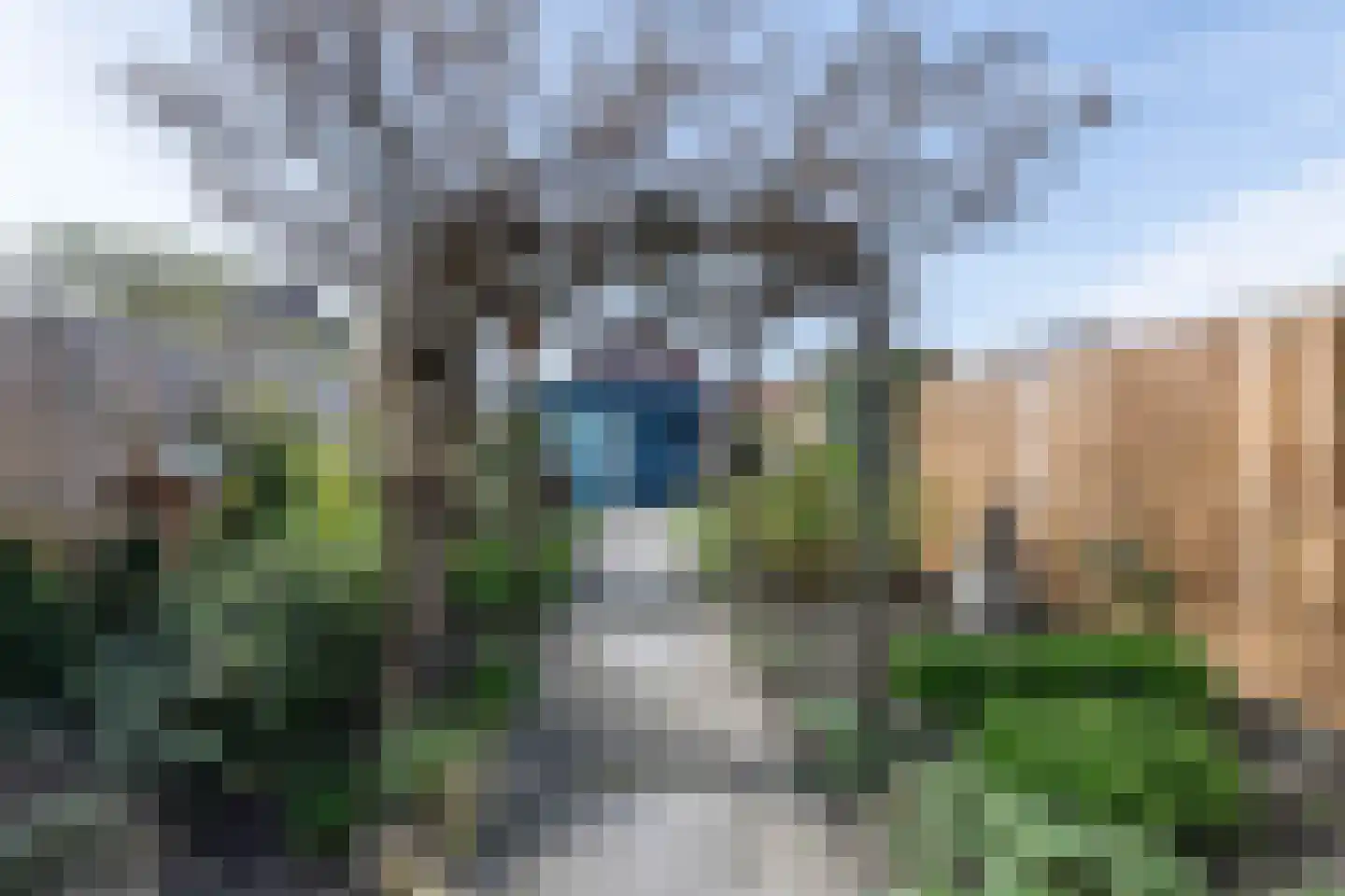 Colijnstraat 33 Hoofddorp thumbnail 21