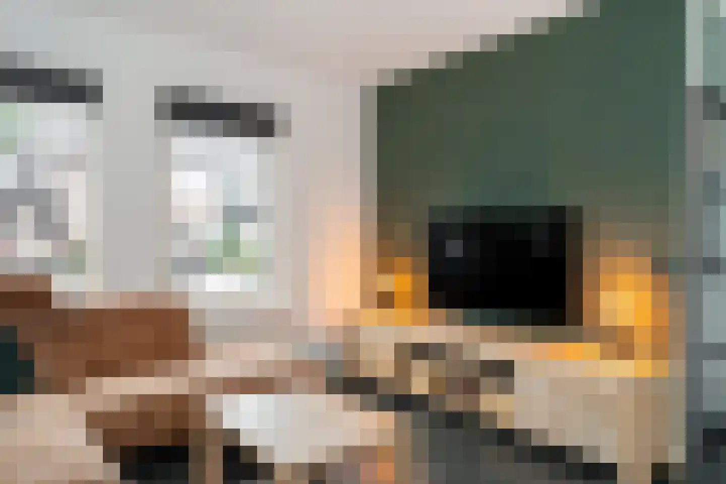 Colijnstraat 35 Epe thumbnail 8