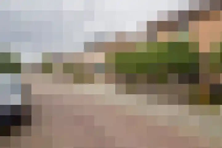 Colijnstraat 37 Bunschoten-Spakenburg thumbnail 46