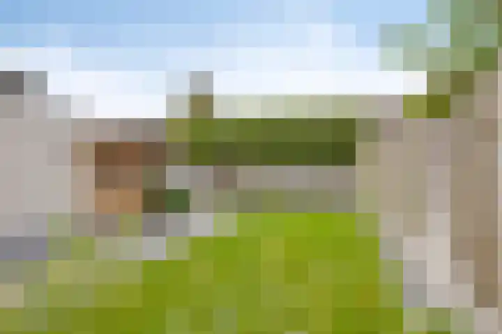 Colijnstraat 4 Oosterhout thumbnail 26