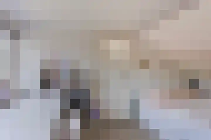 Colijnstraat 45 Nunspeet thumbnail 22