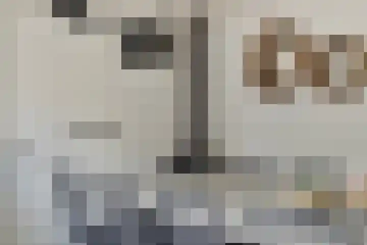 Colijnstraat 45 Nunspeet thumbnail 30