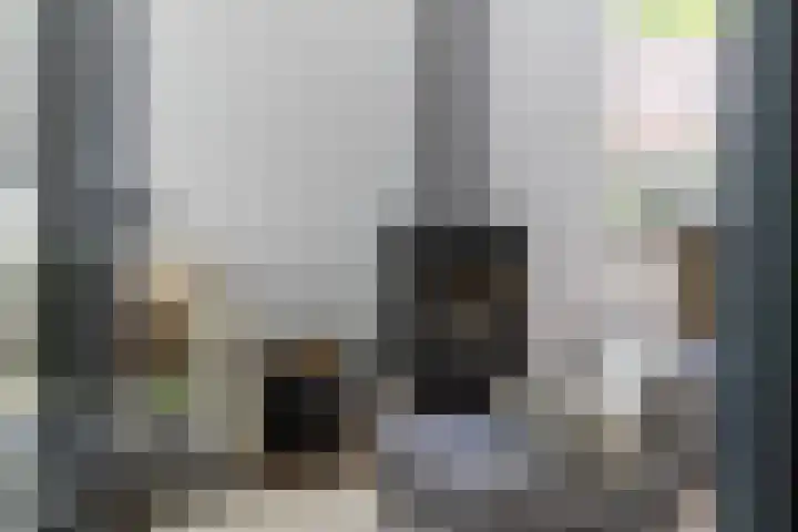 Colijnstraat 45 Nunspeet thumbnail 7