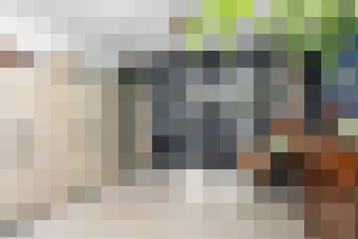 Colijnstraat 49 Oss thumbnail 17