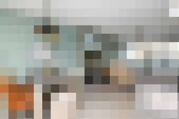 Colijnstraat 49 Oss thumbnail 20